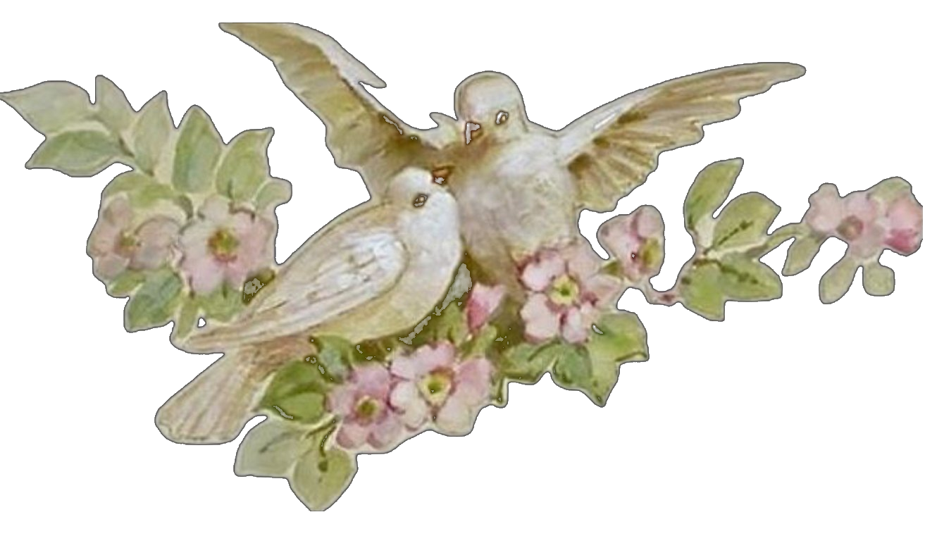 Two white doves with flowers
